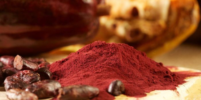 Dietary Flavanols Reverse Age-Related Memory Decline