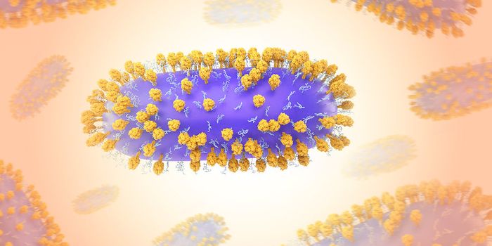Respiratory Syncytial Virus (RSV) Can Infect & Damage Nerves