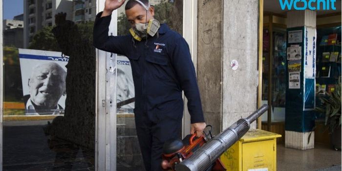 Has the Zika Virus Peaked in Latin America?