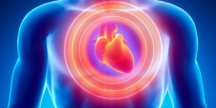 Viral Infection of the Heart