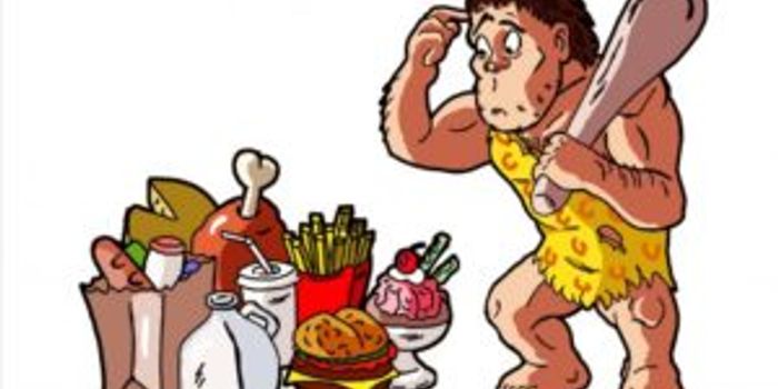 Brain encodes food preference decisions