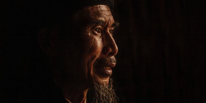 Drug Turns Back the Clock in Aged Brains