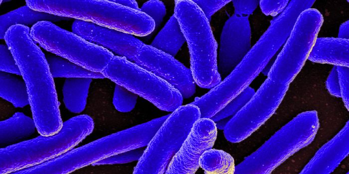 Analysis of Human Microbiome Yields Potential new Antibiotics