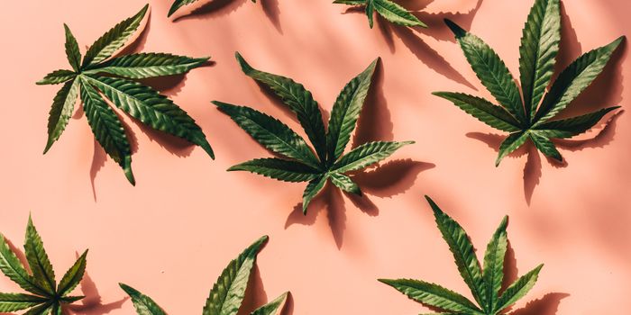 American and Canadian Cannabis Advertising Regulations Show Lack of Consistency in the US