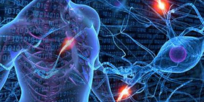 The First Computer Model to Display Human Metabolic Processes in 3D