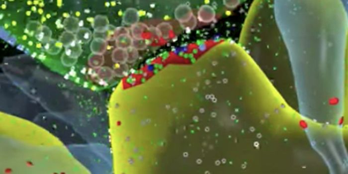 The Brain's Storage Capacity can Expand