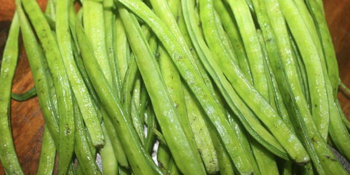 High Guar Gum Diet May Reduce Inflammation, Symptoms of MS