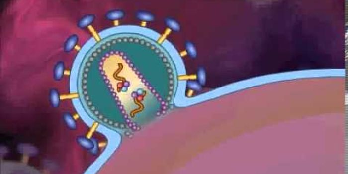 HIV AIDS Replication Animation Video