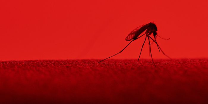 New Diagnostic Test for Zika Virus Extends Detection Window