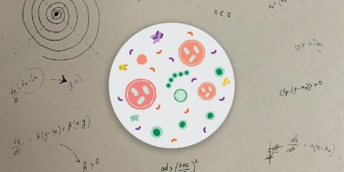 Mathematical Model may Help Understanding of Health and Disease