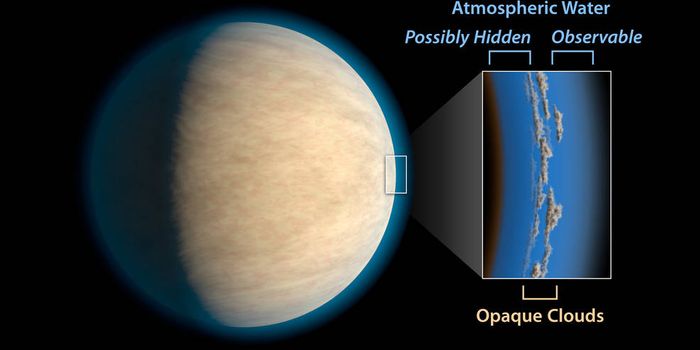 Is Water Hiding Under the Clouds on Many Distant Exoplanets?