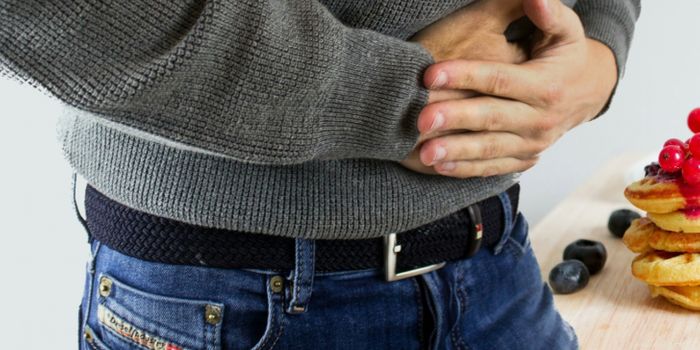 How the Gut Microbiome Controls the Intestinal Immune System