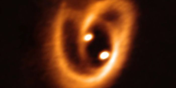 Astronomers Are Observing the Birth of a Binary Star System