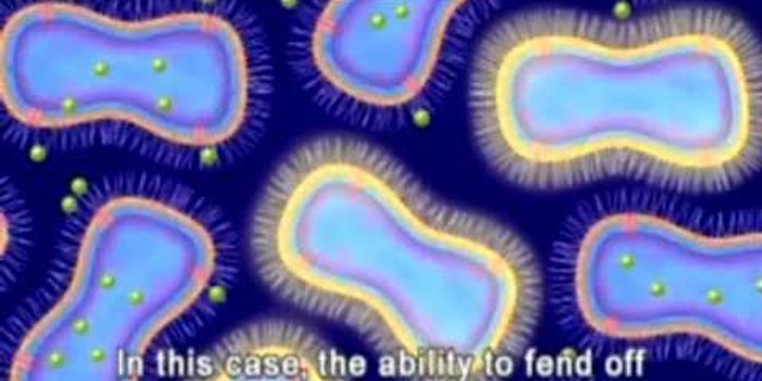 The Animation of Antimicrobial Resistance 