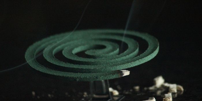 Major Landmark in a 100-Year Search for a Malaria Vaccine