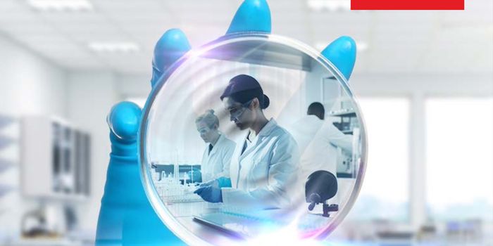 eBook: Plasmid purification for manual and automation