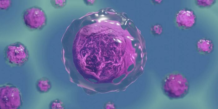 A Synthetic Cell That Grows and Divides Like a Natural One