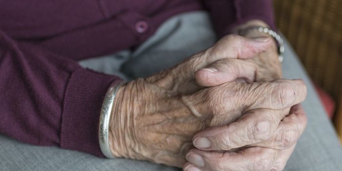 Understanding Why Caloric Restriction Can Extend Longevity