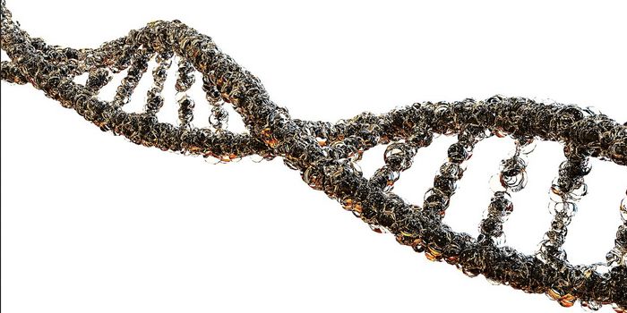 DNA Binding Proteins Both Search & Bind Rapidly