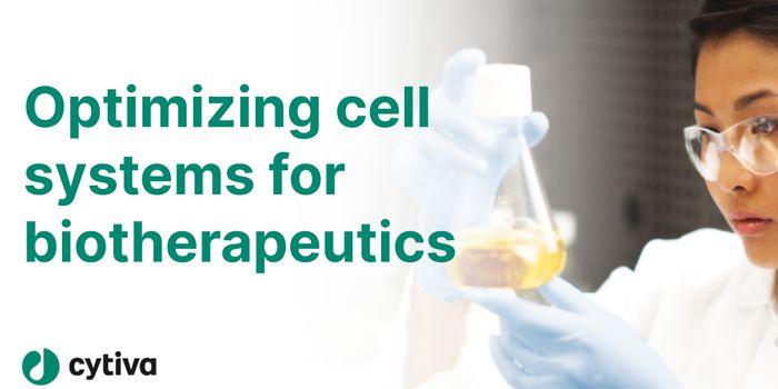 Optimizing conditions for recombinant protein production from CHO Cells