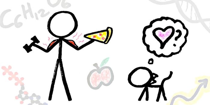 What is the Purpose of Life? (Chemically Speaking)