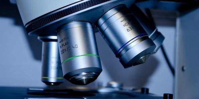 Could Targeting the Proteasome be Effective Against Cancer?