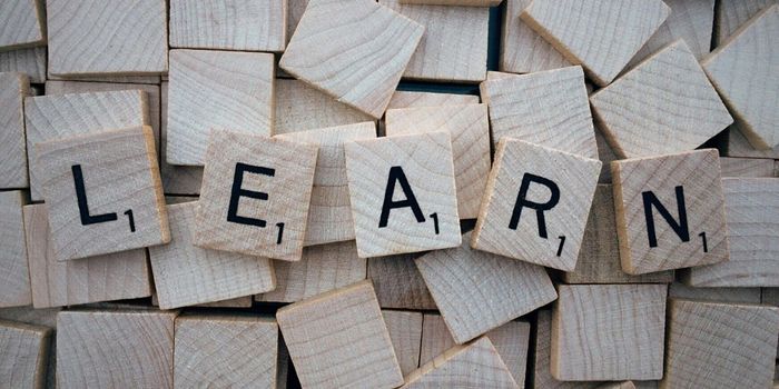 Bilingualism from an Early Age May Boost Brain Connectivity