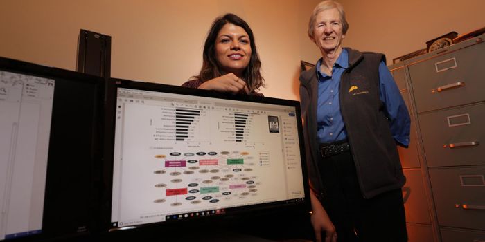 Thirdhand Smoke Changes Gene Expression in Human Cells