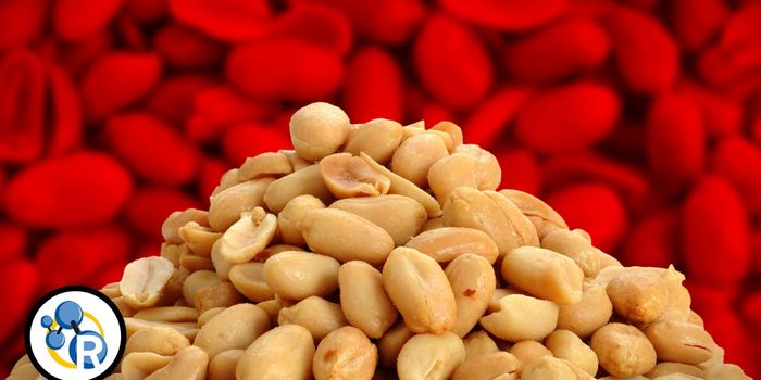 The Chemistry Behind a Peanut Allergy