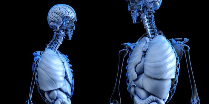 Digital Twins Provide Insight Into Inflammatory Disease Treatment