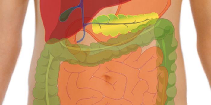 Gut Microbes Play a Role in Neurodegeneration