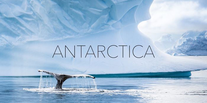 A Tour of Antarctica Captured By a Man With His Drone