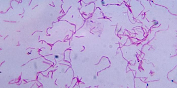 Decontaminating the Cancer Microbiome