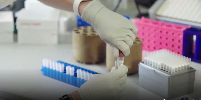 Researchers Link Cardiometabolic Disease and a Protein Called Clusterin