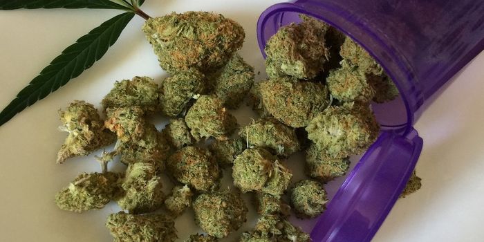 Marijuana: The Next Big Thing in Health Care?