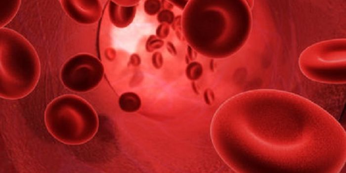 Nitric Oxide Makes Respiratory Cycle Run, Study Says