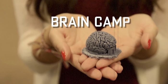 How I Spent My Summer: Brain Camp