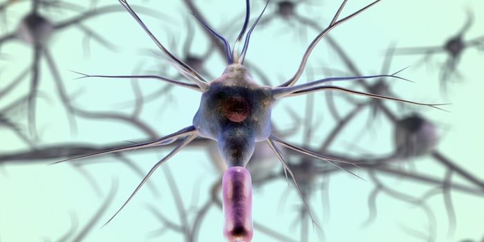 After Neuronal Damage, Researchers Restore Walking in Mice