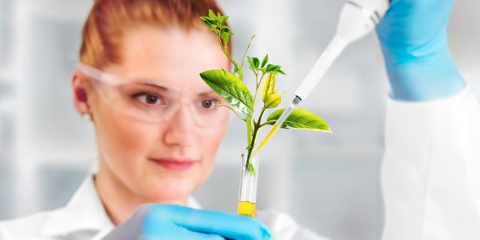 Sustainability & Pipette Tips: Simple steps for a more sustainable lab