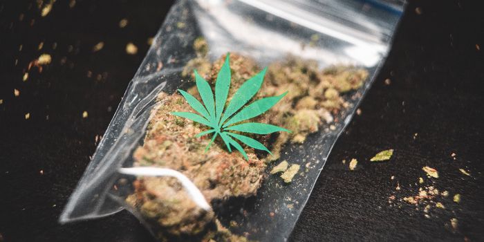 New Study to Put Medical Cannabis to a Proper Test