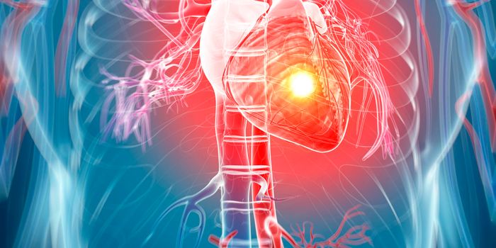 "BAG3" Protein Protects the Heart From Irreparable Damage