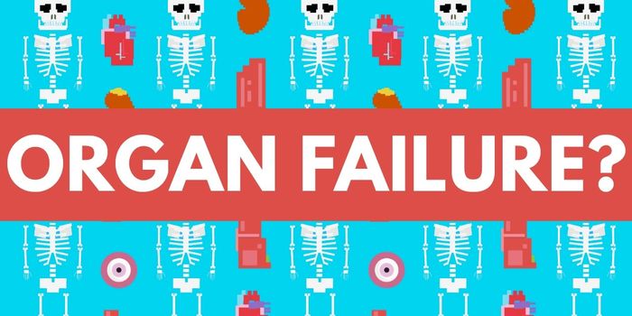 Why Donor Organs Get Rejected