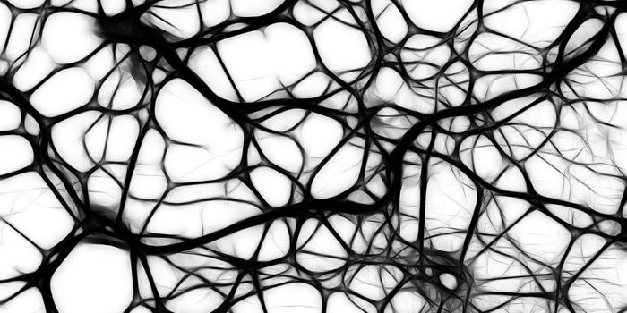 Increased Exercise at Midlife Reduce Alzheimer's Risk