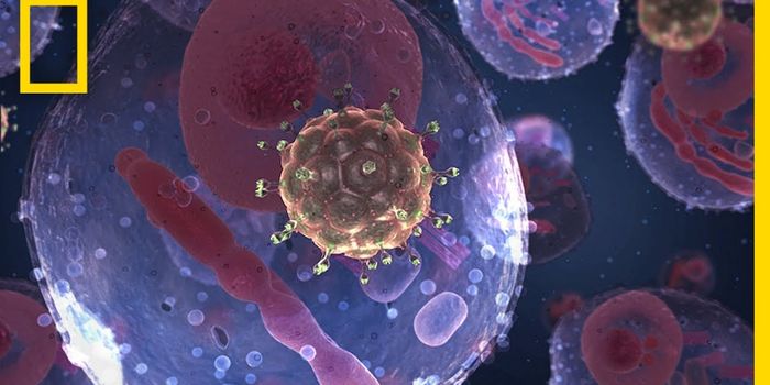 Researchers Reconstruct the HIV Genome From a Sample Taken in 1966