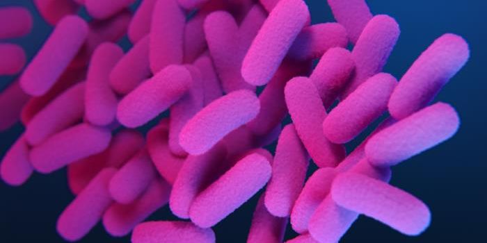 Infectious Disease Roundup: US Whooping Cough Deaths, Dengue Vax, Marburg in Ethiopia