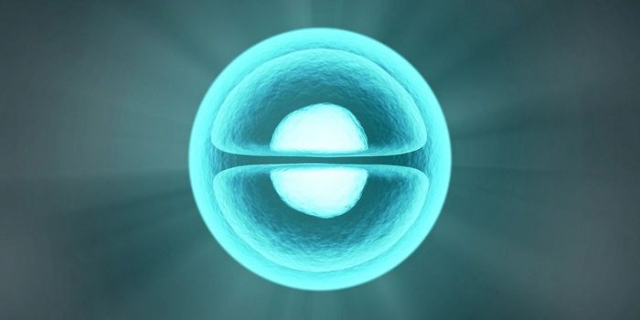 The Unexpected Anti-Cancer Effects of the Human Telomerase