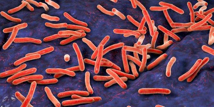 Better Sequencing, Faster Results