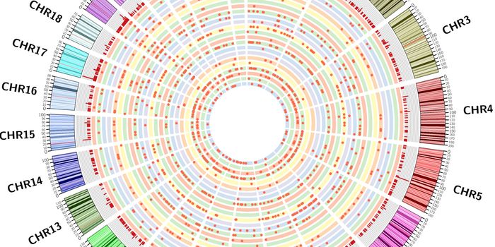 Rare, Deadly Lymphoma Demystified
