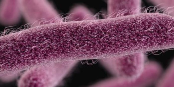 Two Antibotic-Resistant Pathogens are on the Rise