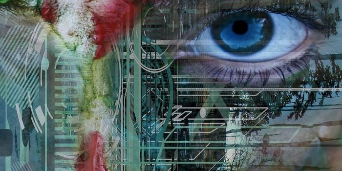 Studies Reveal Synaptic Disruptions in Schizophrenia